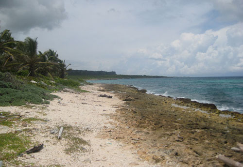 #0 Magnificent beach front land near Punta Cana
