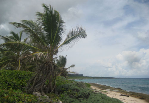 #5 Magnificent beach front land near Punta Cana