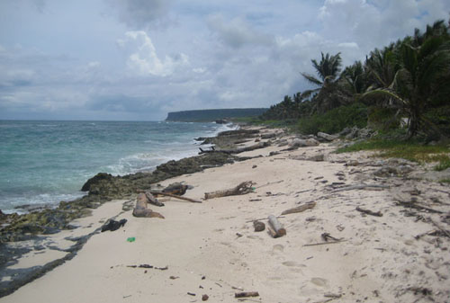 #3 Magnificent beach front land near Punta Cana