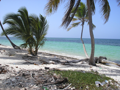 #1 Magnificent beach front land near Punta Cana