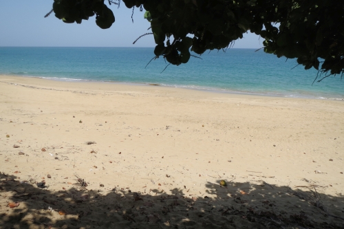 #3 One of the few ocean front lots left in town - Kite Beach Cabarete