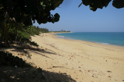 #5 One of the few ocean front lots left in town - Kite Beach Cabarete