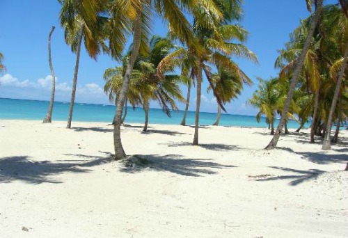 #2 One of the best beachfront parcels in Juanillo Beach - Punta Cana