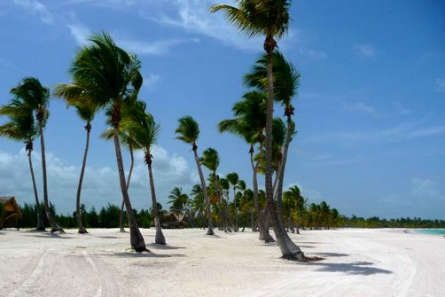 #5 One of the best beachfront parcels in Juanillo Beach - Punta Cana