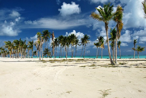 #4 One of the best beachfront parcels in Juanillo Beach - Punta Cana