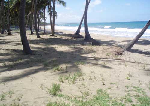 #6 Nagua Beachfront Property