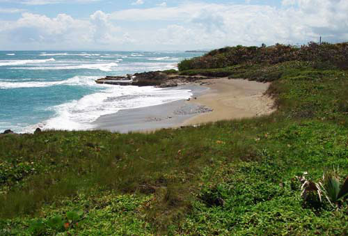 #4 Prime beachfront land for sale in Cabarete