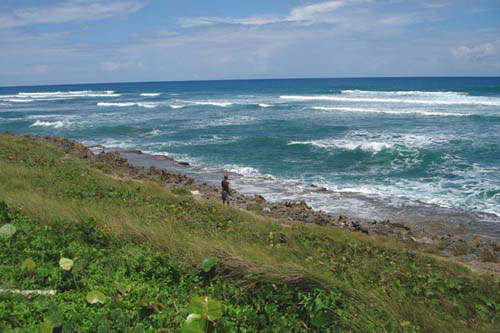#5 Prime beachfront land for sale in Cabarete