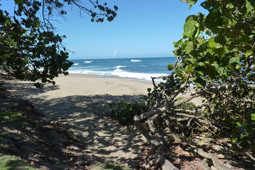#5 Magnificent beachfront land with more than 230 meters semi-private beach in residential community 