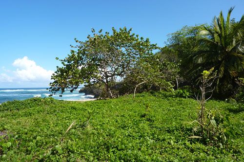 #8 Magnificent beachfront land with more than 230 meters semi-private beach in residential community 