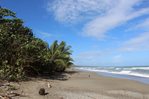 #12 Stunning Beachfront Land With Wide Frontage