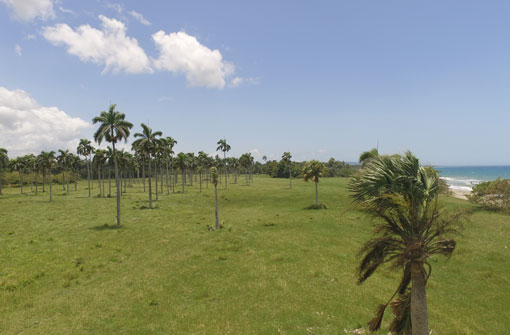 #2 Stunning Beachfront Land With Wide Frontage