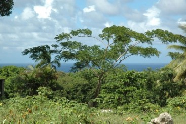 Property with Ocean View in Sosua