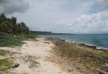 Magnificent beach front land near Punta Cana