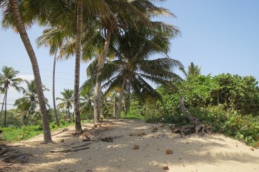 One of the few beach front lots left in town - Kite Beach Cabarete