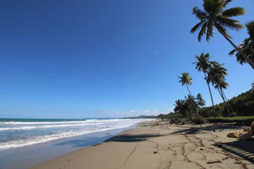 Prime Beachfront Lan in the Dominican Republic