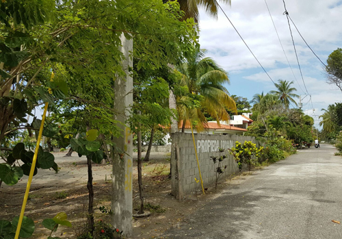 #5 Beachfront land in a quiet area of high quality properties - Bani