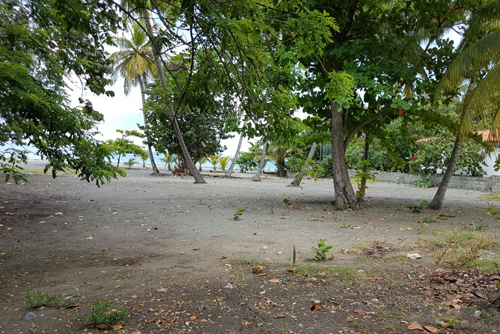 #2 Beachfront land in a quiet area of high quality properties - Bani