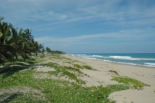 #2 Beachfront property with approx. 30 meters front in Cabarete