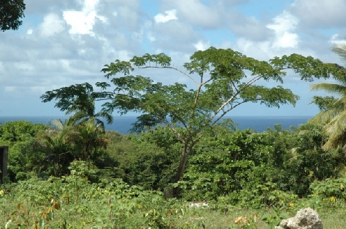 #0 Property with Ocean View in Sosua