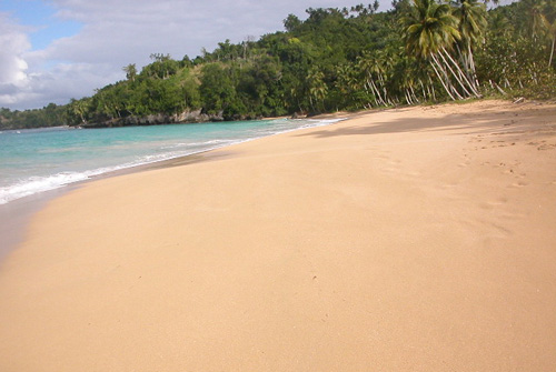 #3 Paradise Beachland Samana