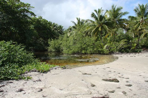 #1 Development Land with 440 Meters Beachfront Rio San Juan