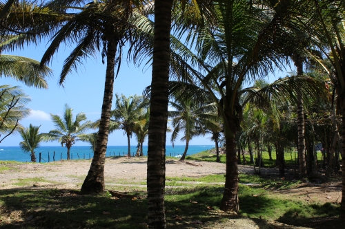 #7 Kite Beach Property - Prime beachfront land with wide frontage