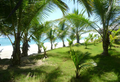#2 Kite Beach Property - Prime beachfront land with wide frontage