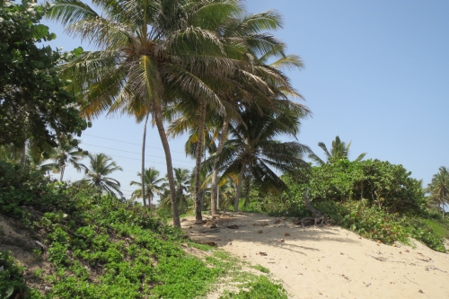 #2 One of the few beach front lots left in town - Kite Beach Cabarete
