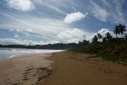 #1 Stunning beachfront land with wide frontage in Samana