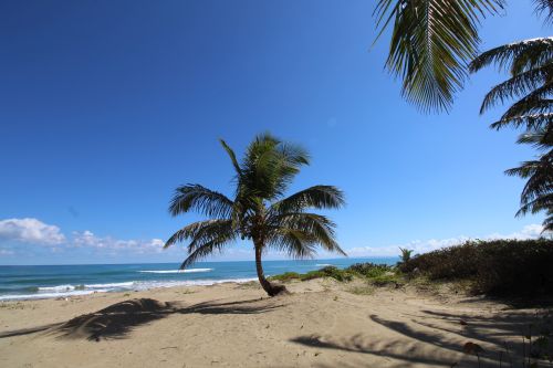 #9 Excellent hotel or retreat opportunity in Cabarete