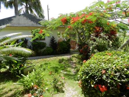 #4 Investment property close to the beach- Las Terrenas