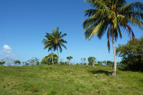 #1 Building Lot with Ocean View in Cabarete