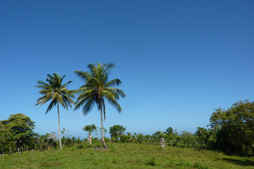 #4 Building Lot with Ocean View in Cabarete