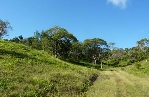 #5 Beautiful hillside land in popular area
