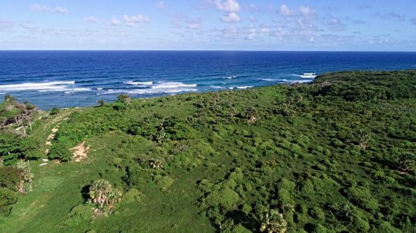 #7 Oceanfront Land for Sale in Cabrera