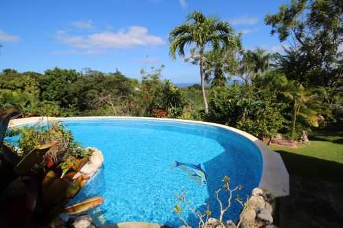 #15 Charming Sosua villa with a large lot and ocean views