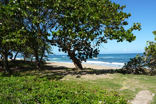 #2 Magnificent beachfront land with more than 230 meters semi-private beach in residential community 