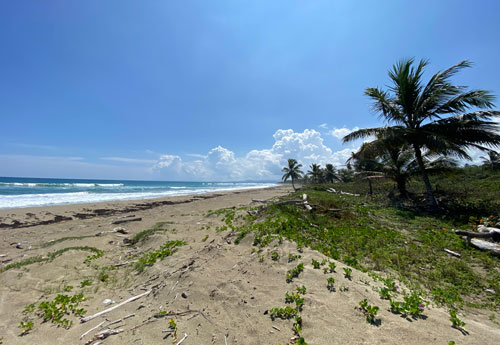 #4 Excellent beachfront lots in unspoilt location