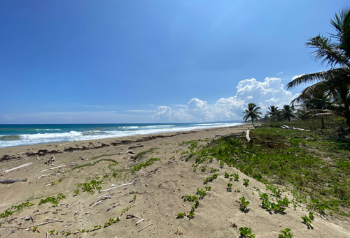 #5 Excellent beachfront lots in unspoilt location