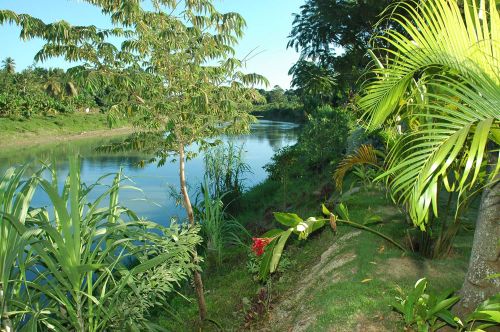 #1 Hidden away on the river, a very attractive tropical villa